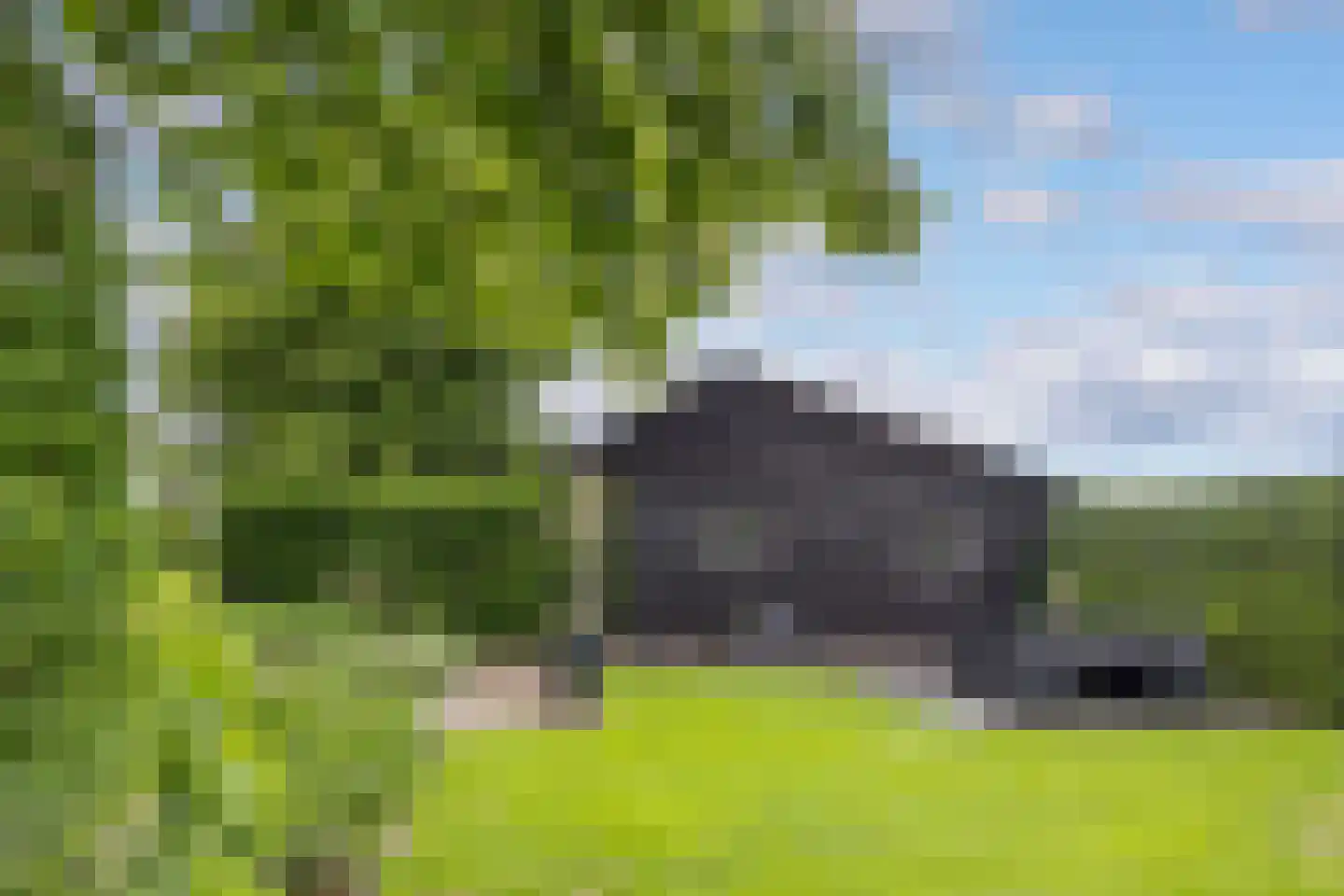 Weteringsteeg 54 Rhenen thumbnail 54