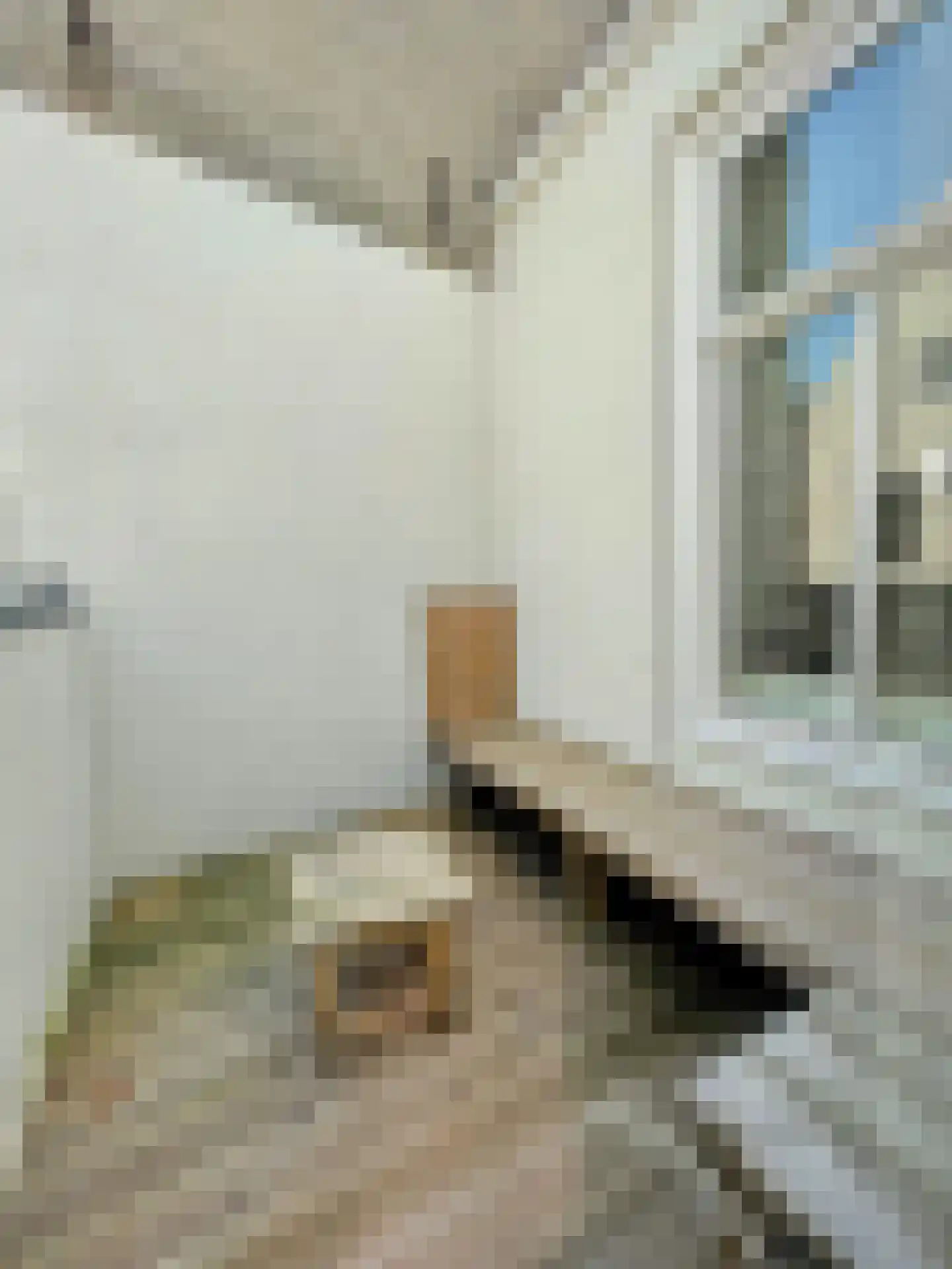 Weteringstraat 12 Vlissingen thumbnail 19
