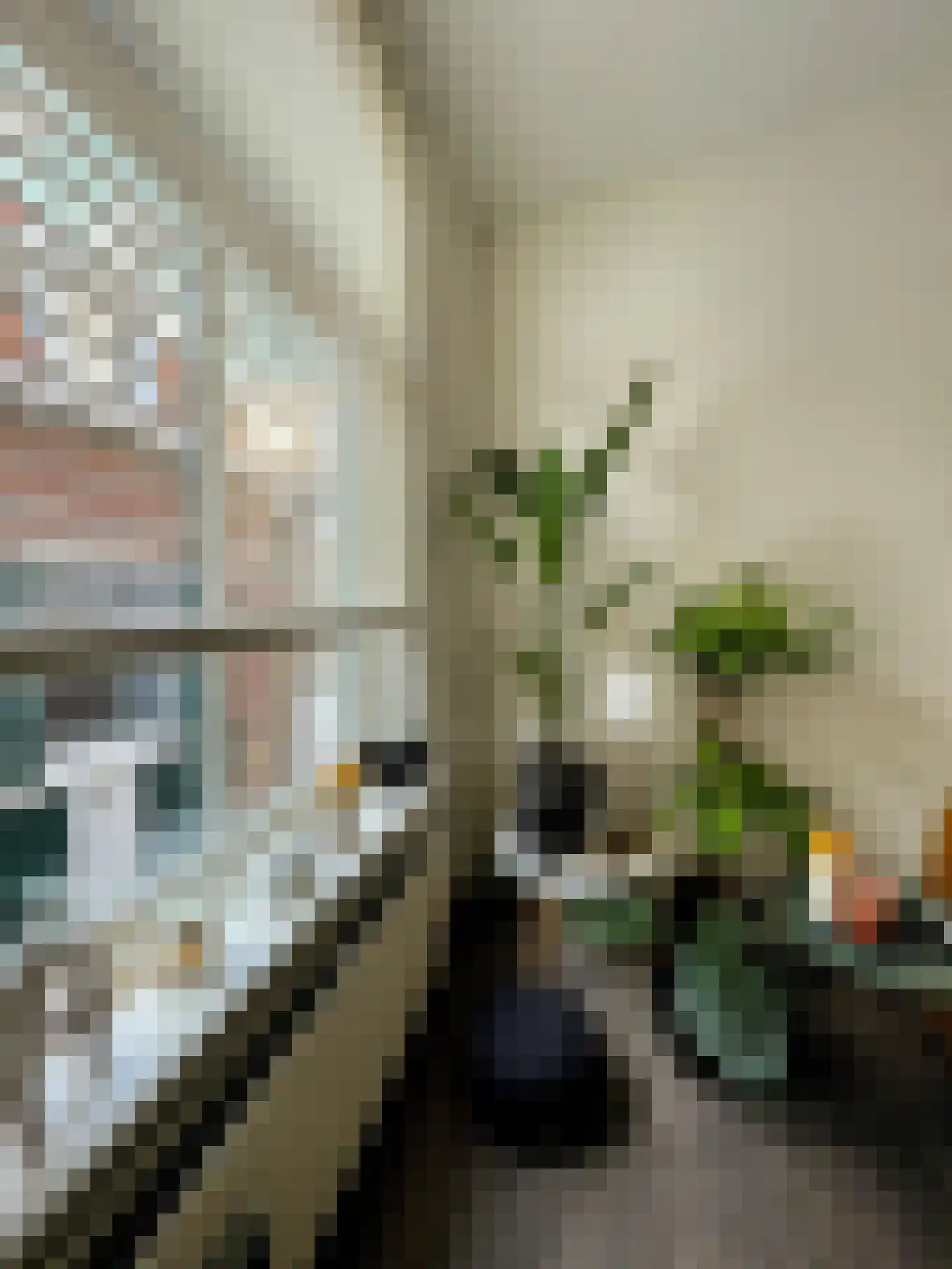 Weteringstraat 12 Vlissingen thumbnail 6
