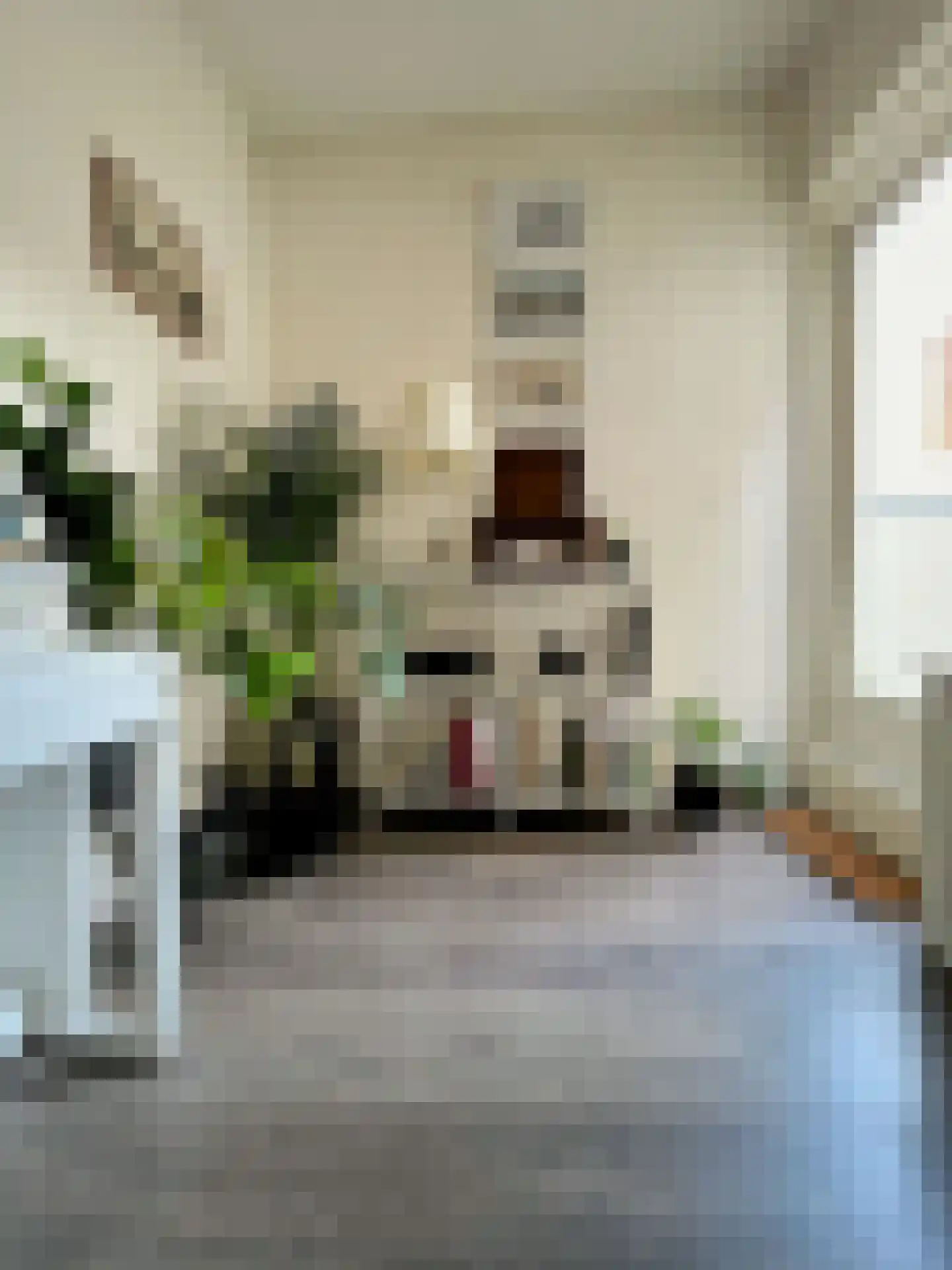 Weteringstraat 12 Vlissingen thumbnail 7