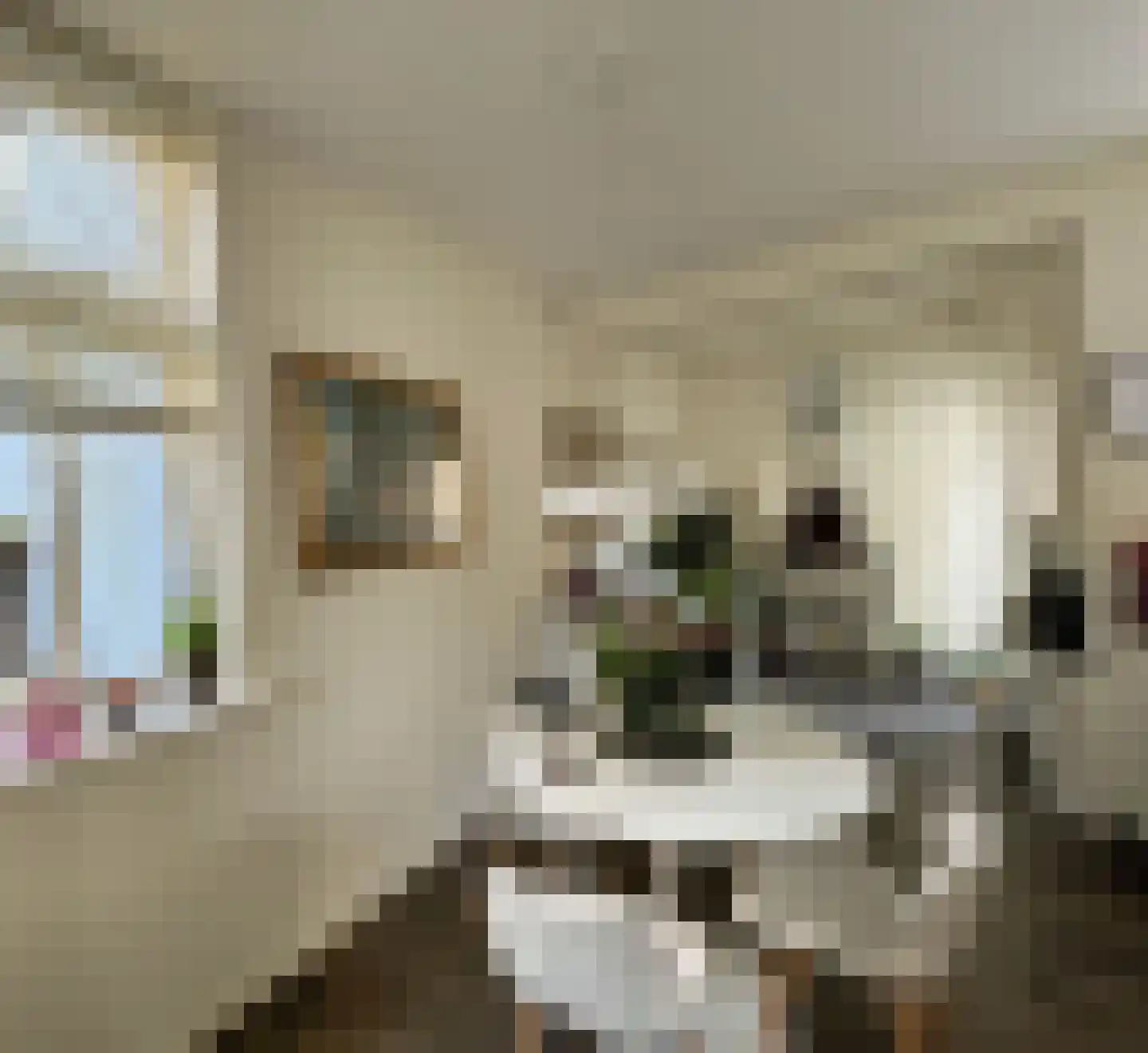 Weteringstraat 12 Vlissingen thumbnail 9