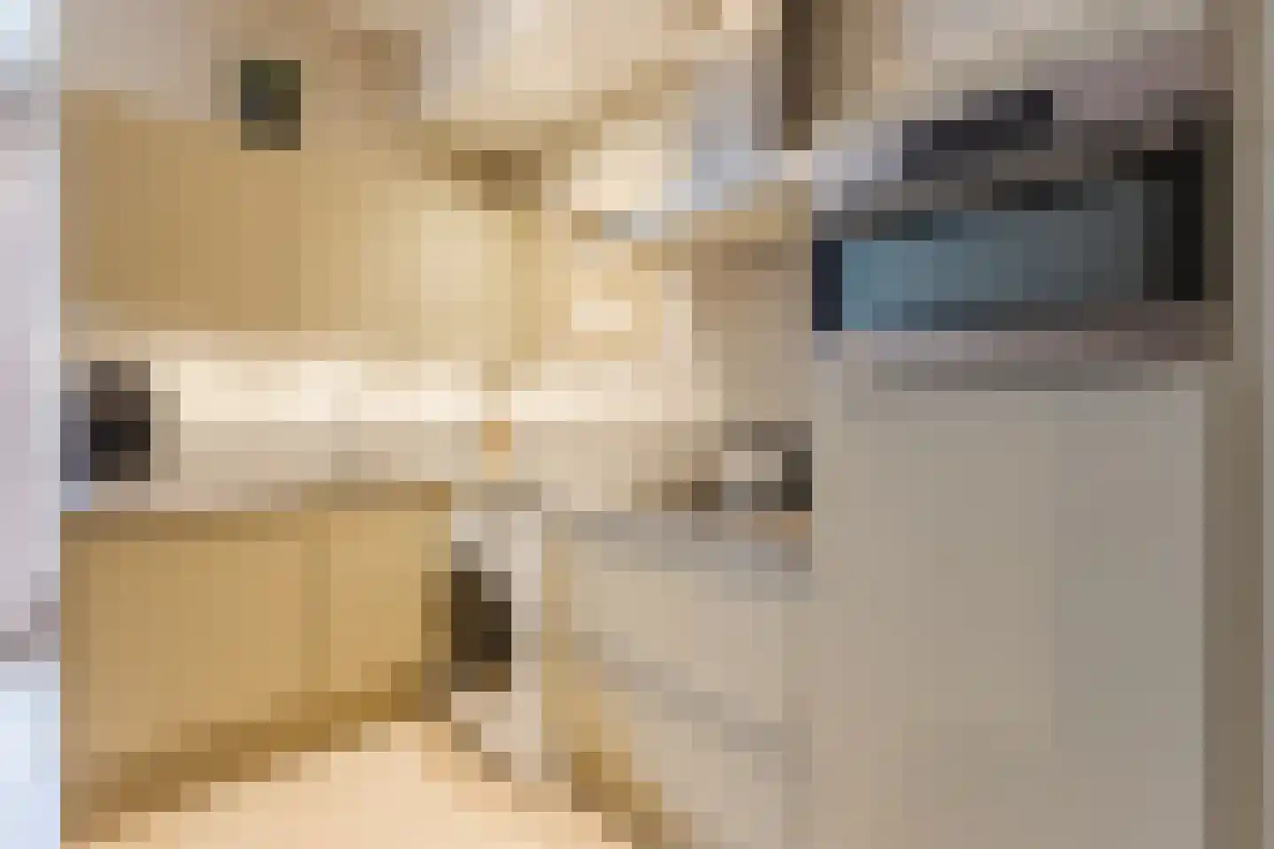 Weteringstraat 17 Amsterdam thumbnail 10