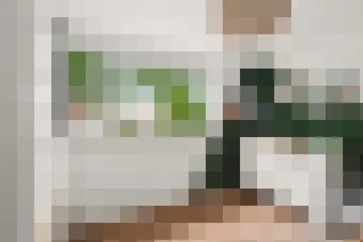 Weteringstraat 18 Velp thumbnail 13