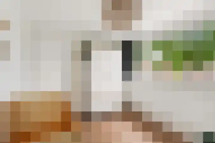 Weteringstraat 18 Velp thumbnail 15