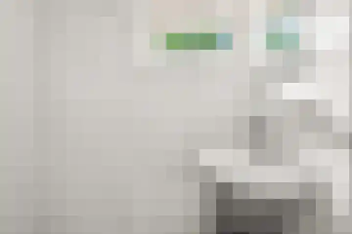 Weteringstraat 18 Velp thumbnail 17