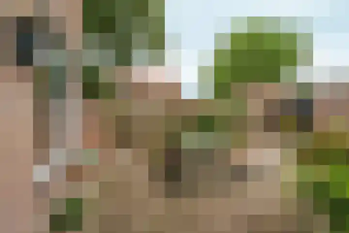 Weteringstraat 18 Velp thumbnail 19