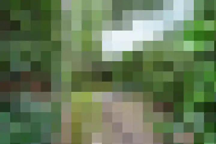 Weteringstraat 18 Velp thumbnail 21