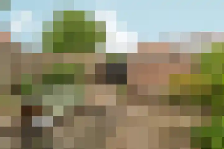 Weteringstraat 18 Velp thumbnail 22