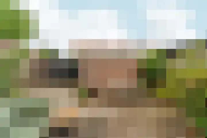 Weteringstraat 18 Velp thumbnail 23