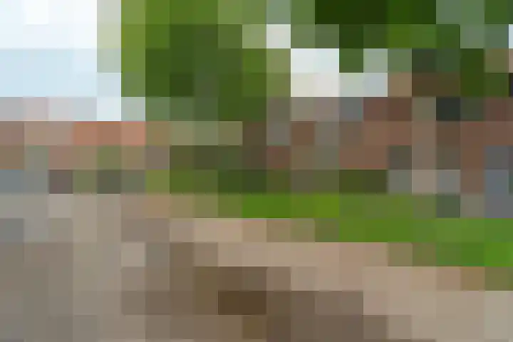Weteringstraat 18 Velp thumbnail 25