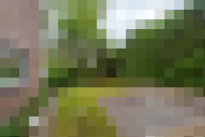 Weteringstraat 18 Velp thumbnail 27