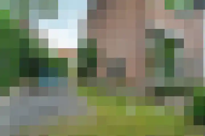 Weteringstraat 18 Velp thumbnail 28