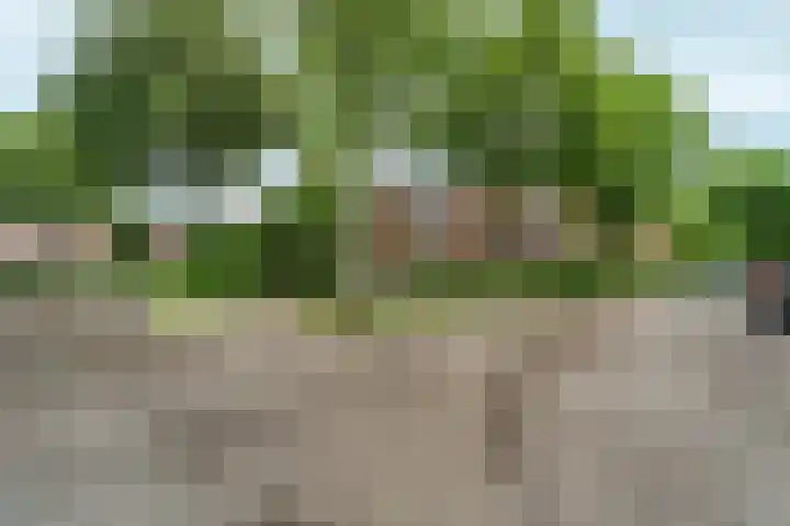 Weteringstraat 18 Velp thumbnail 30