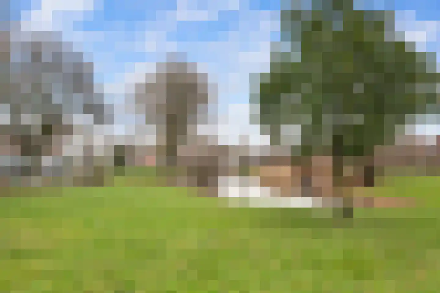 Weteringstraat 241 Rotterdam thumbnail 18