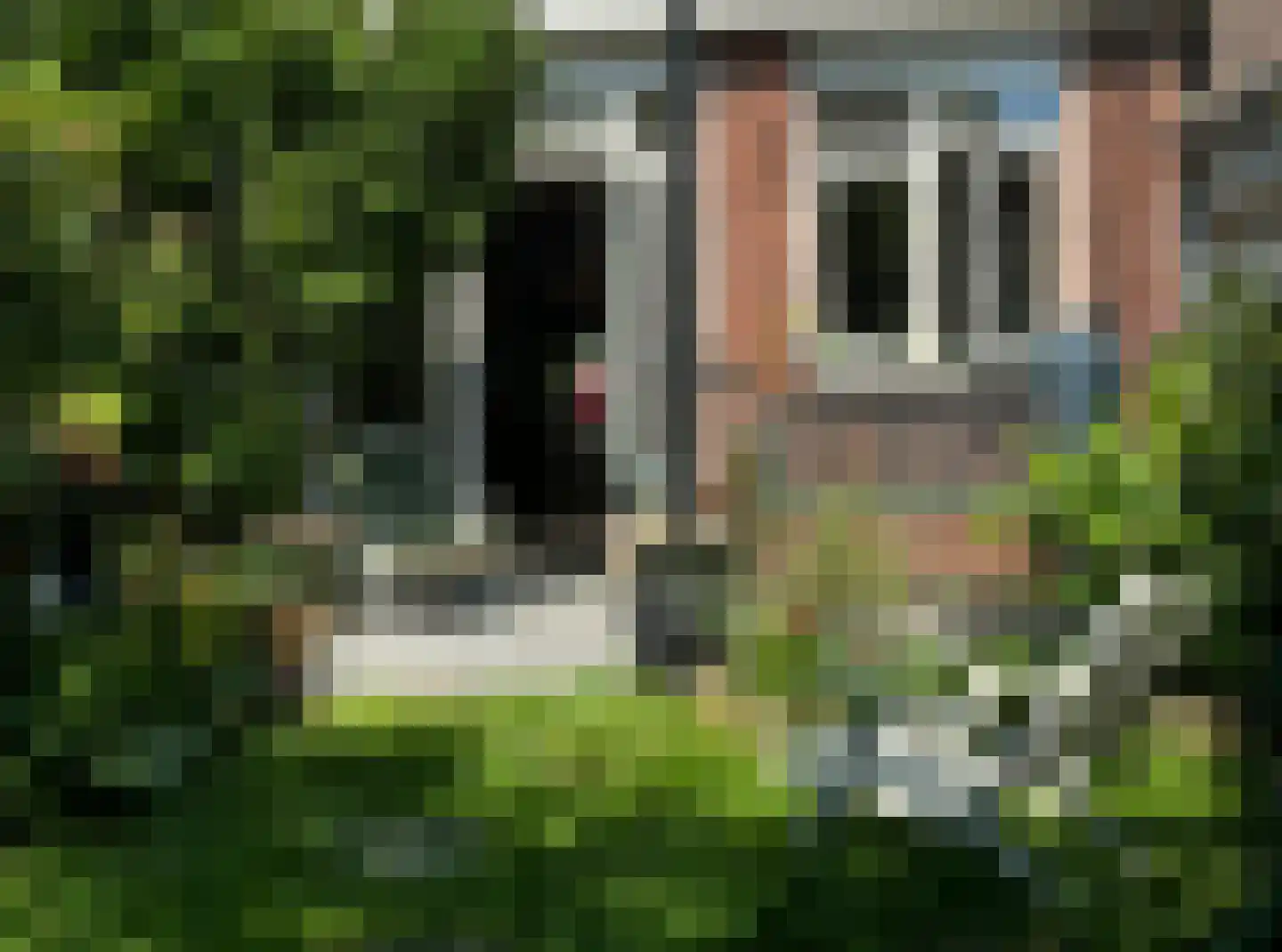 Weteringstraat 27 Haarlem thumbnail 11