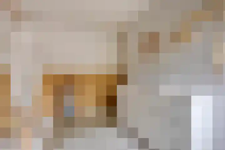 Weteringstraat 42 Purmerend thumbnail 26