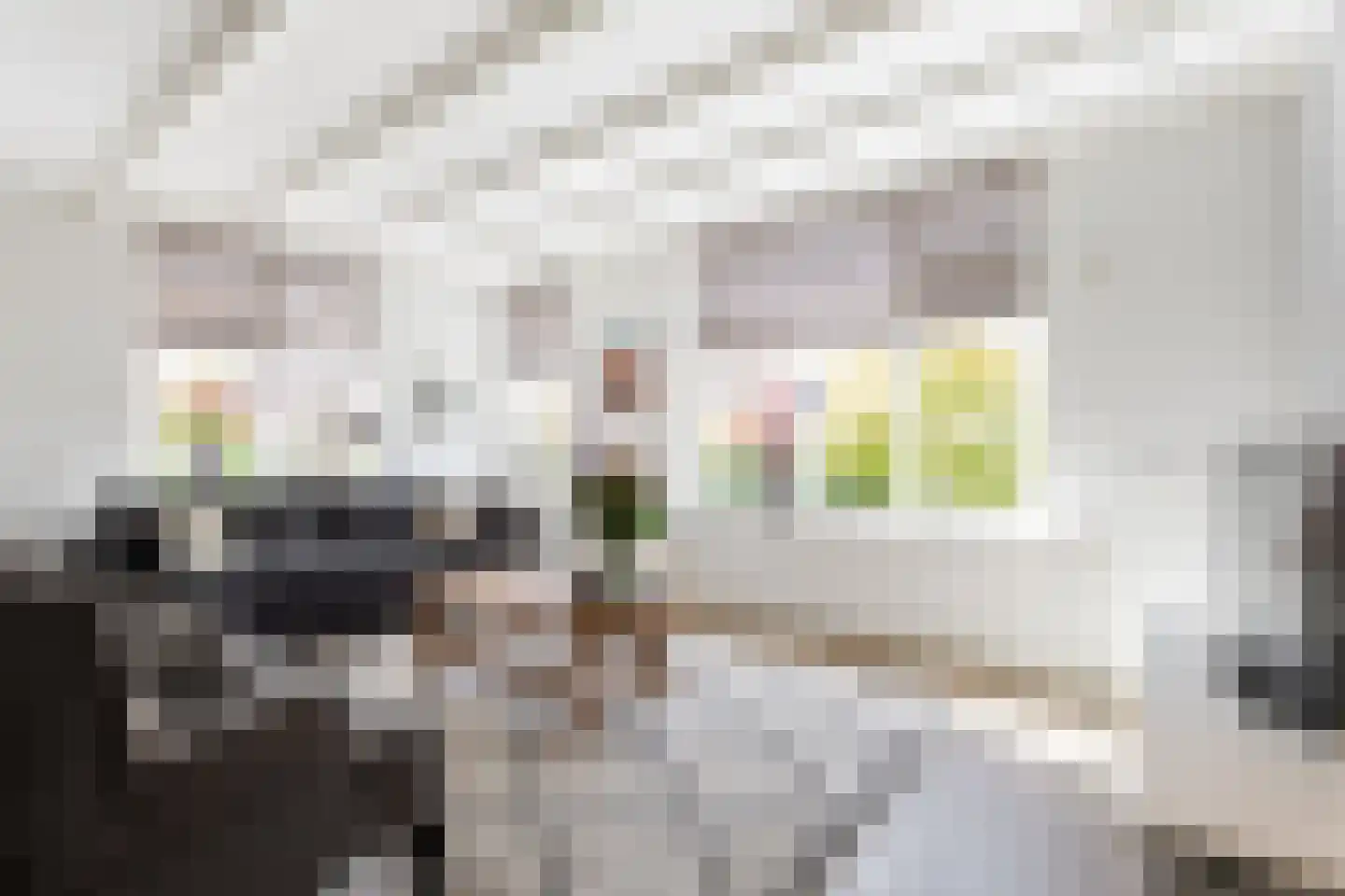 Weteringstraat 43 Hardinxveld-Giessendam thumbnail 4