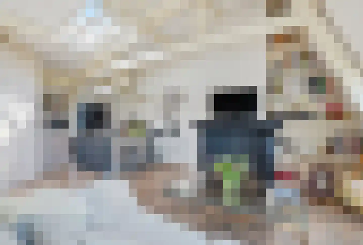 Weteringstraat 45 H Amsterdam thumbnail 5
