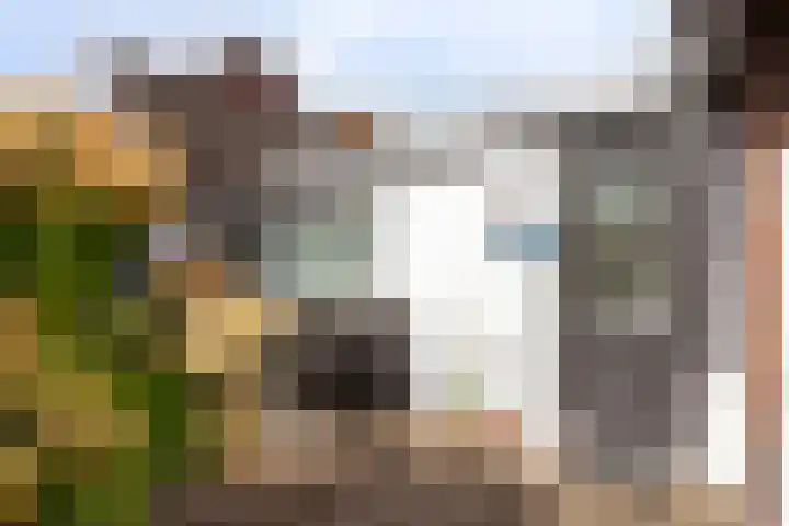 Weteringstraat 54 Woerden thumbnail 27