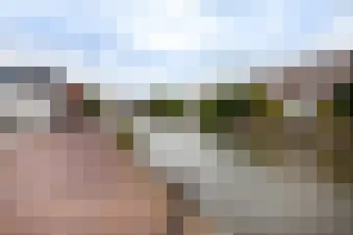 Weteringstraat 54 Woerden thumbnail 33