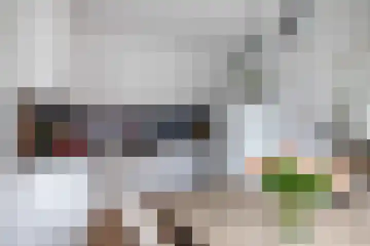 Weteringstraat 54 Woerden thumbnail 6