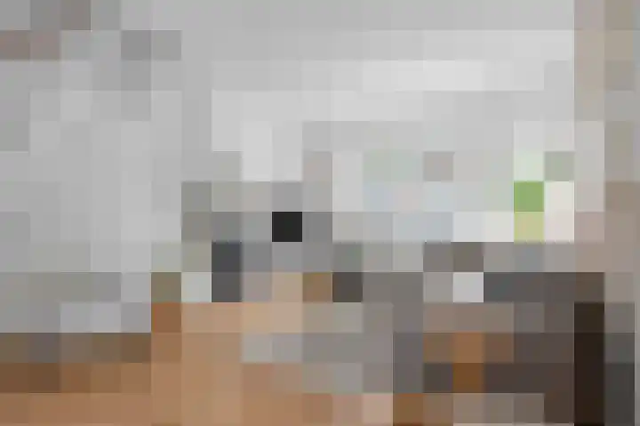 Weteringstraat 54 Woerden thumbnail 9