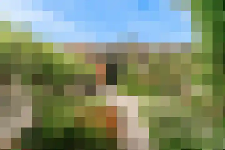 Weteringstraat 59 Woerden thumbnail 4
