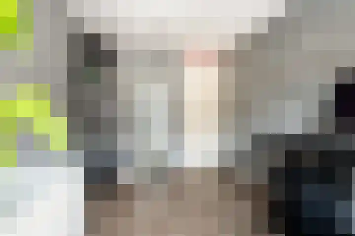Weteringstraat 6 Woerden thumbnail 22