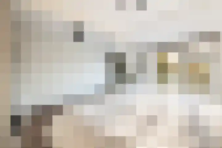 Weteringstraat 6 Woerden thumbnail 30