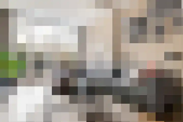 Weteringstraat 6 Woerden thumbnail 7