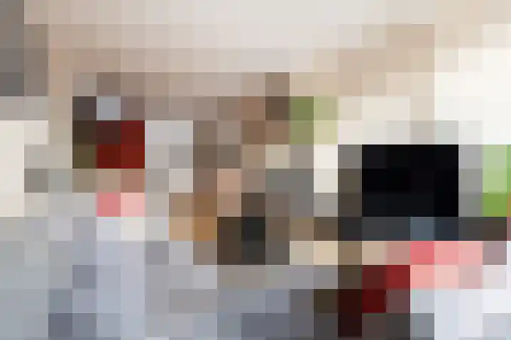 Weteringstraat 6 Woerden thumbnail 9