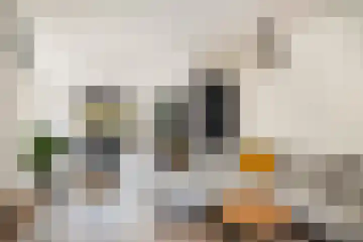 Weteringstraat 64 Woerden thumbnail 10