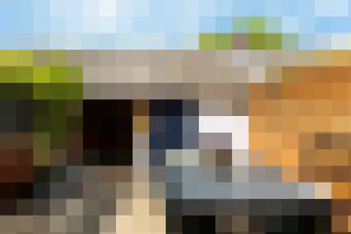 Weteringstraat 64 Woerden thumbnail 20