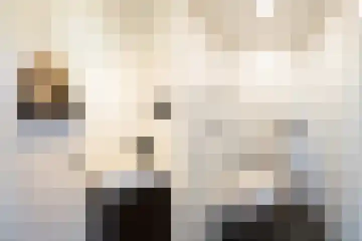 Weteringstraat 64 Woerden thumbnail 6