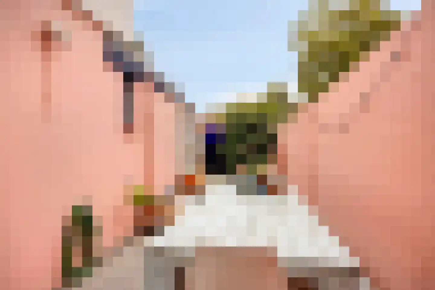Weteringstraat 7 Breda thumbnail 23
