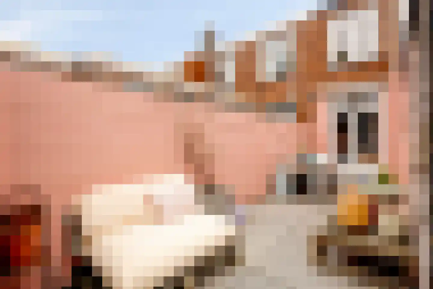 Weteringstraat 7 Breda thumbnail 24