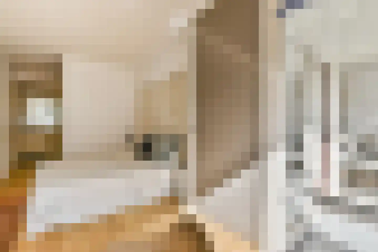 Weteringstraat 70 Amsterdam thumbnail 10