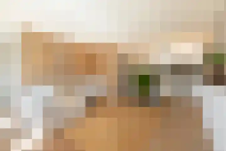 Weteringstraat 76 Amsterdam thumbnail 8