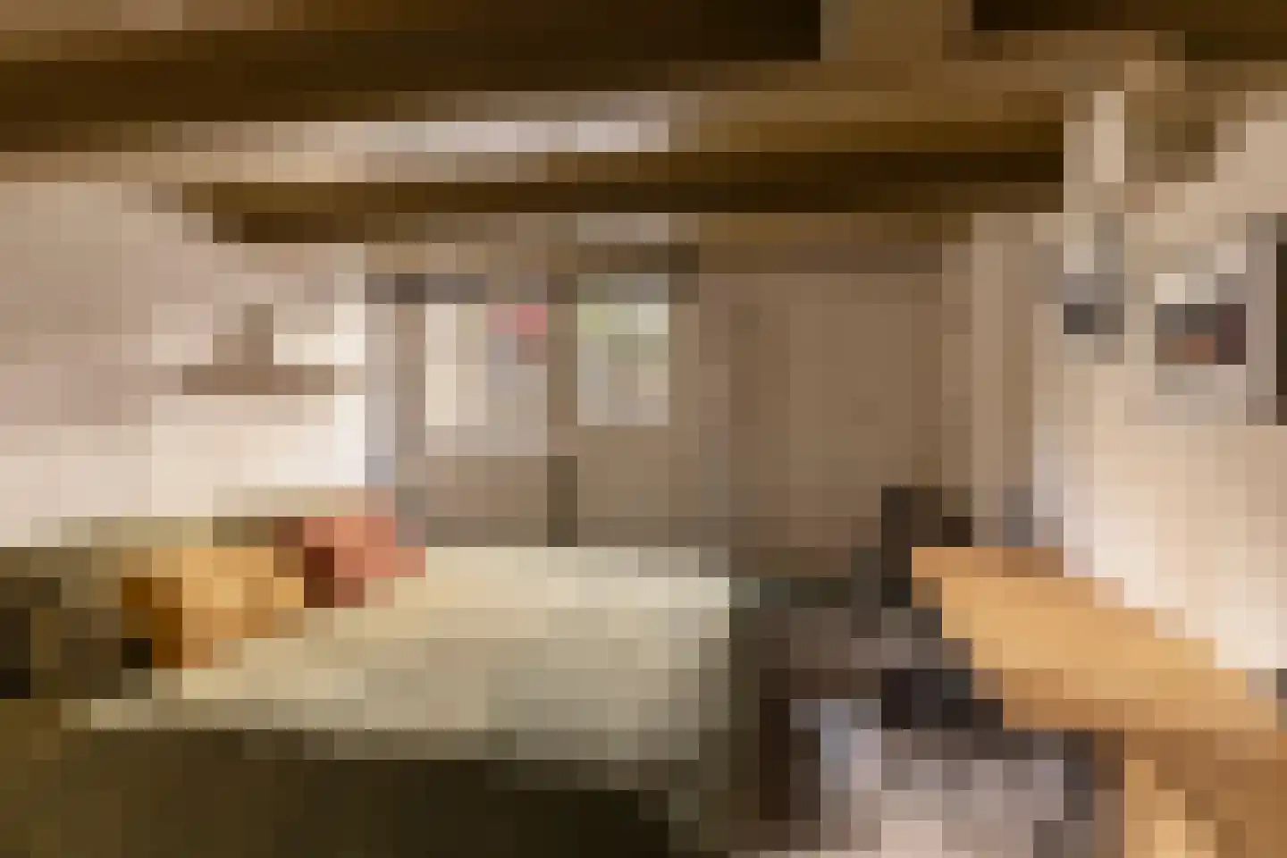 Weteringstraat 9 Amsterdam thumbnail 31