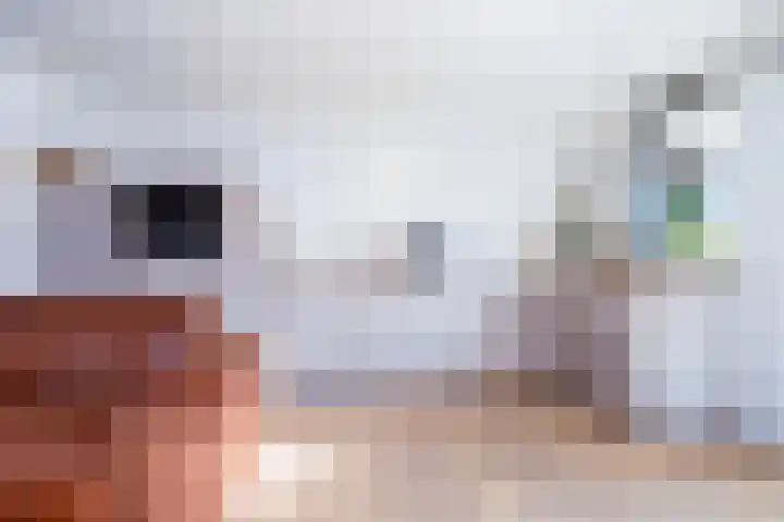 Weteringweg 24 Nijmegen thumbnail 14
