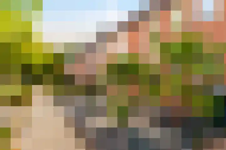 Weteringweg 24 Nijmegen thumbnail 6