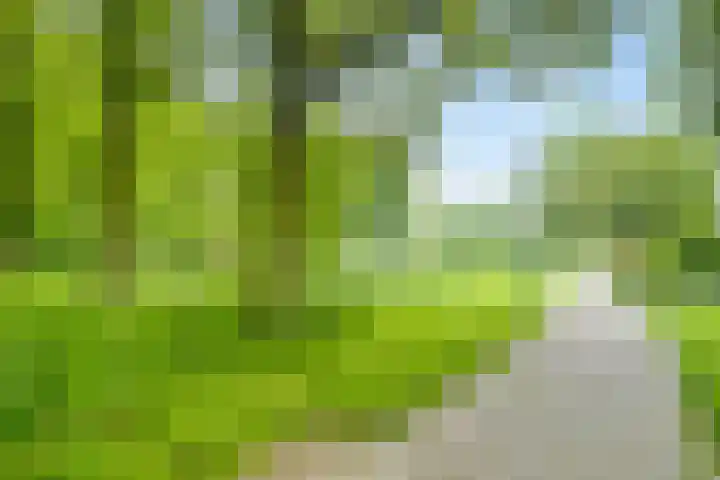 Weteringweg 38 Nijmegen thumbnail 35