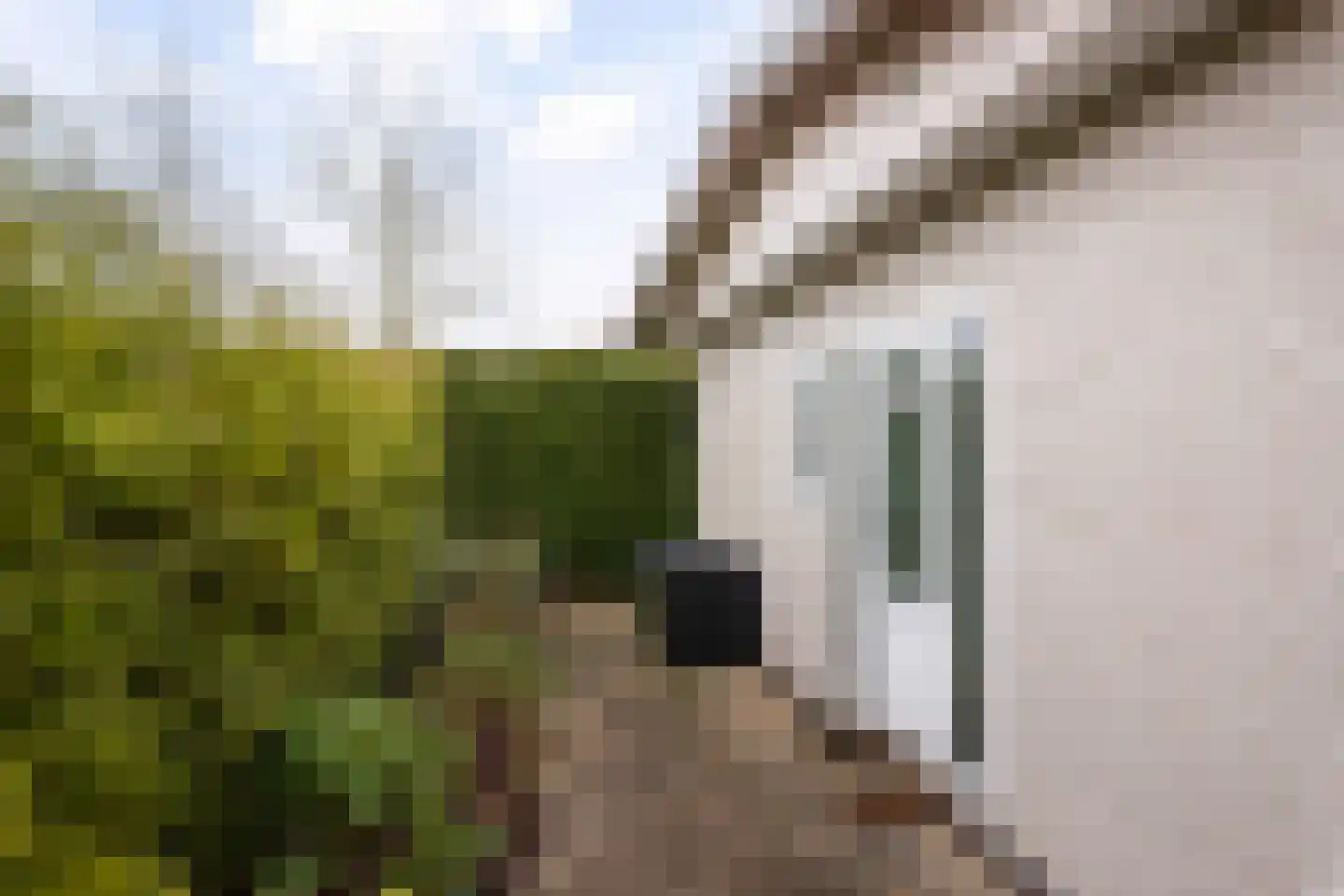 Weterschoten 30 23 Klarenbeek thumbnail 4