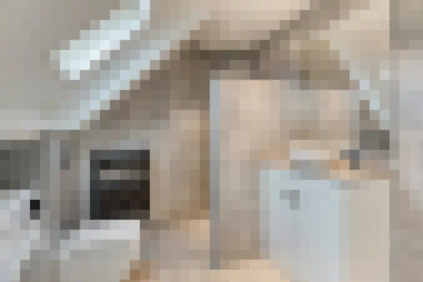 Weth. Beerentshof 9 Deventer thumbnail 20