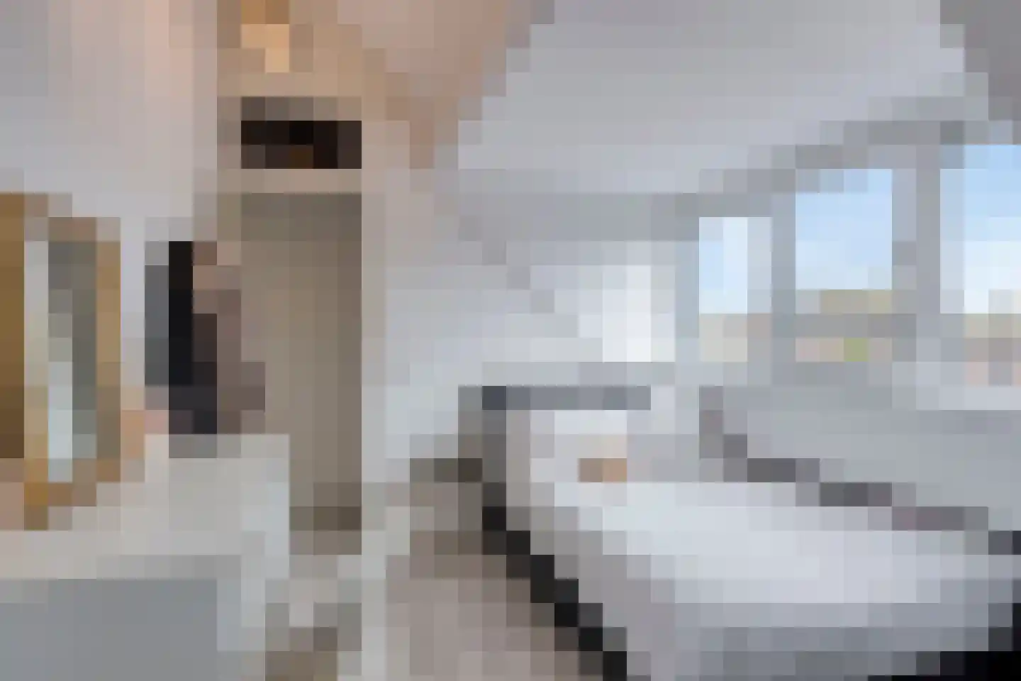 Weth. Beerentshof 9 Deventer thumbnail 25