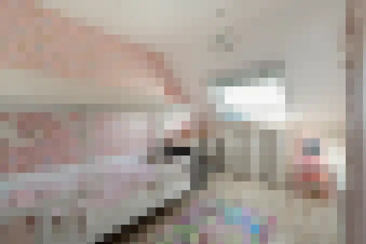 Weth. Berbeelaan 31 Anna Paulowna thumbnail 19