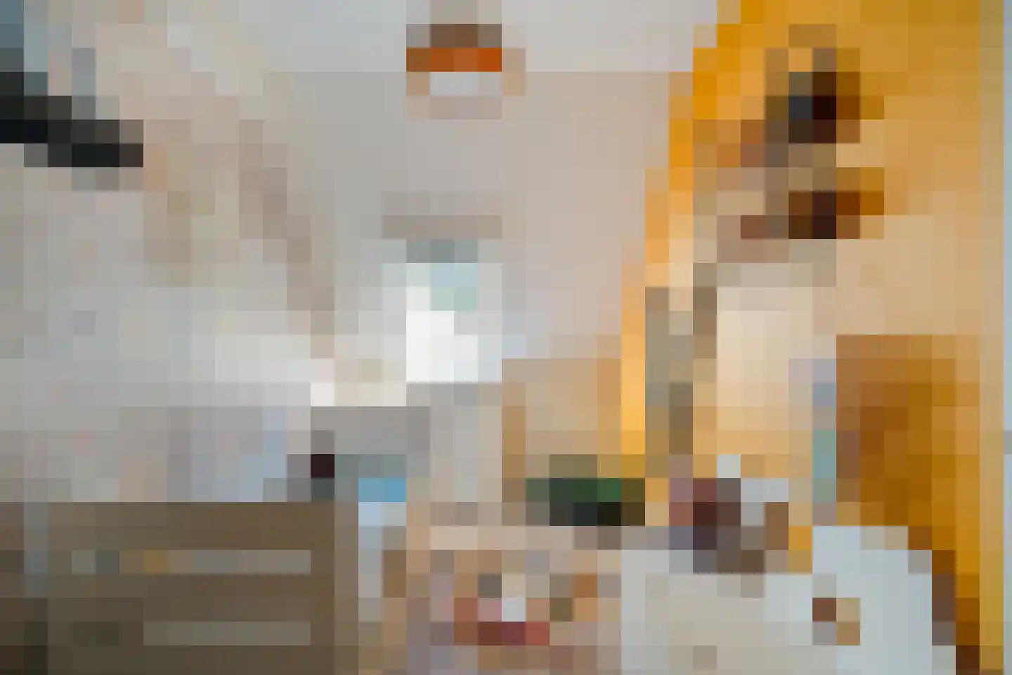 Weth. Berbeelaan 31 Anna Paulowna thumbnail 21