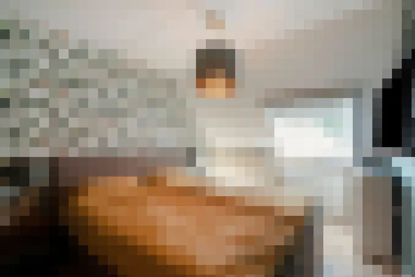 Weth. Berbeelaan 31 Anna Paulowna thumbnail 4