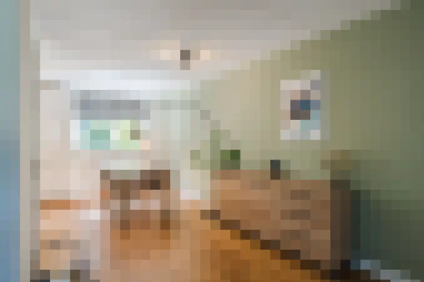 Weth. Berbeelaan 8 Anna Paulowna thumbnail 12