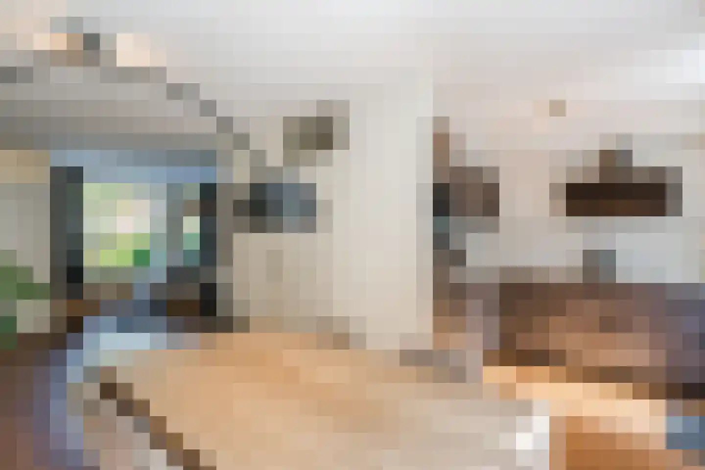 Weth. Berbeelaan 8 Anna Paulowna thumbnail 14